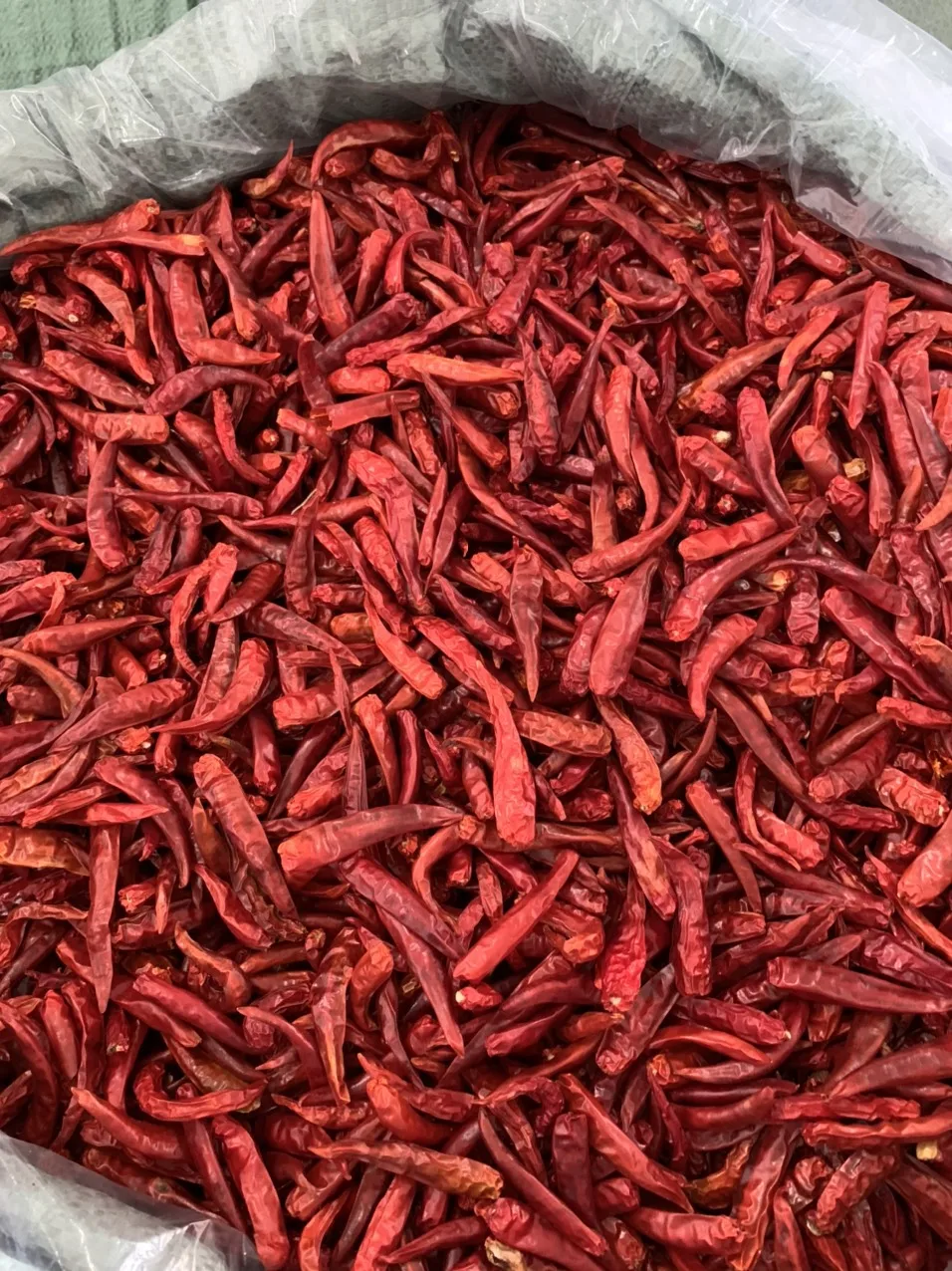 chili dried (19)