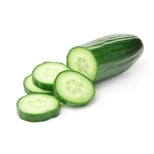 
High Quality Fresh Cucumber/Frozen Cucumber/Sea Cucumber 