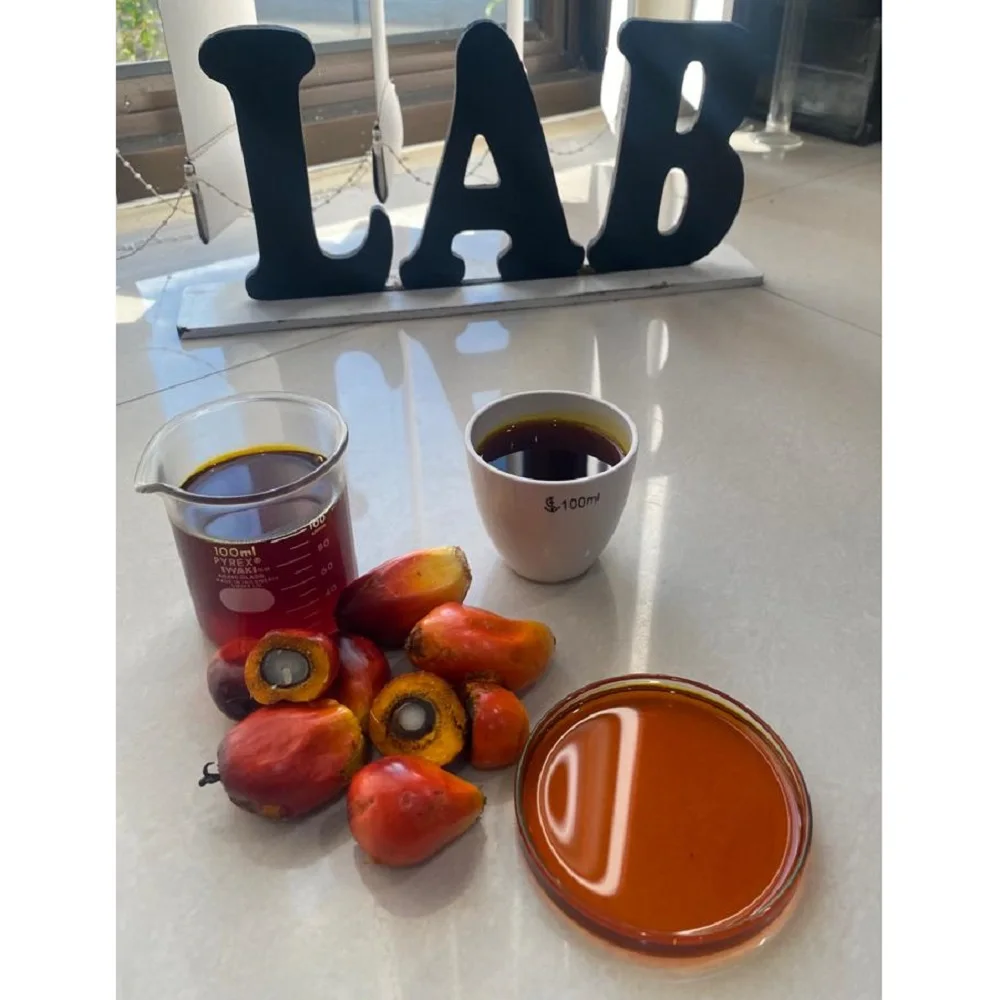 Indonesia High Quality Bulk 0.5% Max Moisture And Impurities Natural Crude Palm Oil (CPO) For Cooking