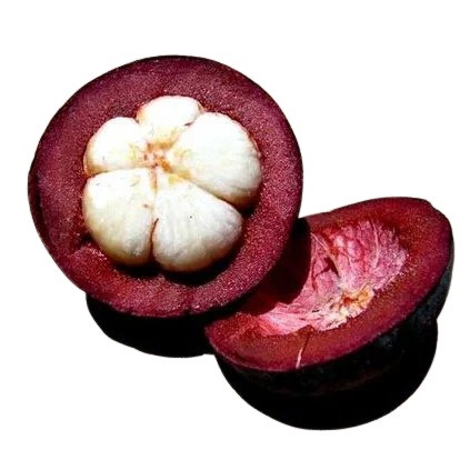 Фрукты конкурентоспособная цена фрукты мангостина 2021 с вкусным вкусом