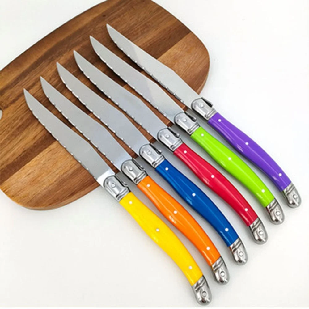 Stainless Steel 6 Piece Steak Knife Set Blade Food Knives with Plastic Handles Dinner Table Knives for Home