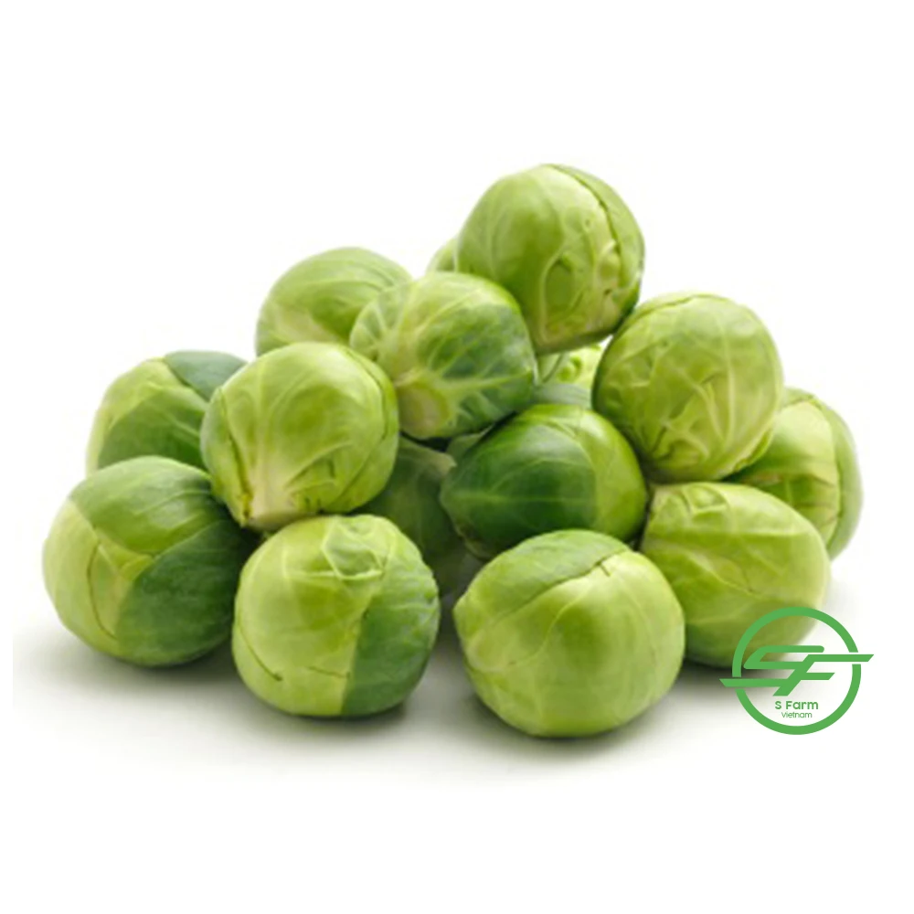 Заводской поставщик, оптовая продажа, новейший Урожай Белой зеленой капусты