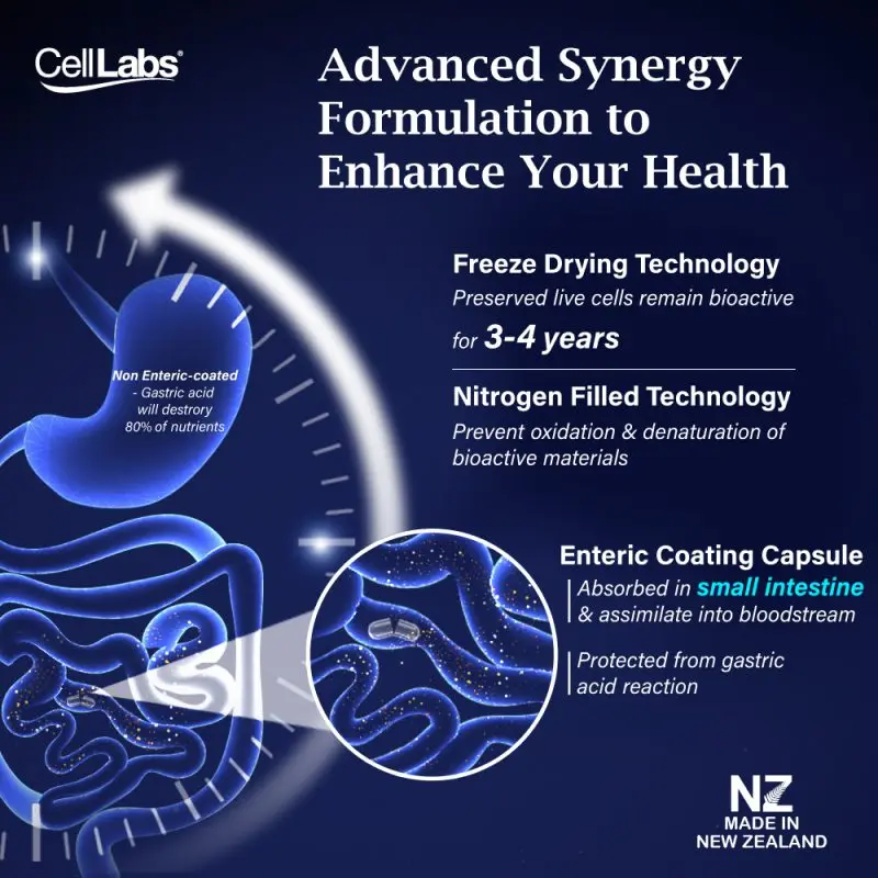 New Zealand High Quality 12 in 1 Deer Placenta CellLabs Posh D Centa for Men Enhancement Pills