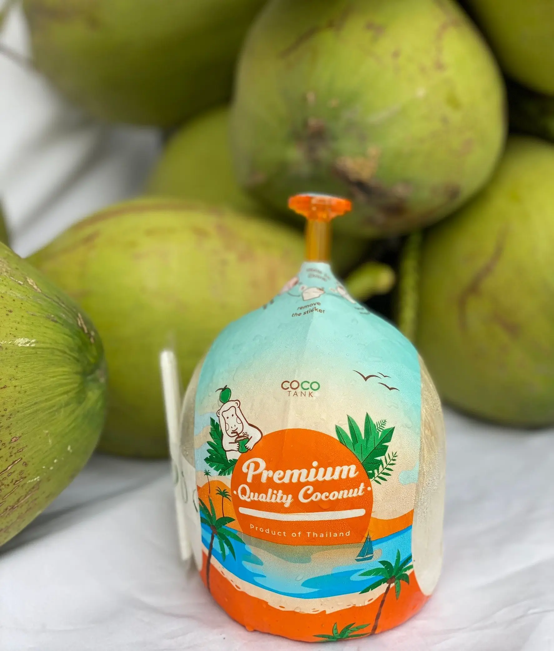 (Easy open) Premium Fresh Coconut From Thailand