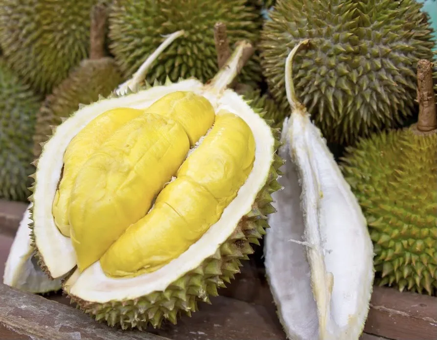 
durian fruit 