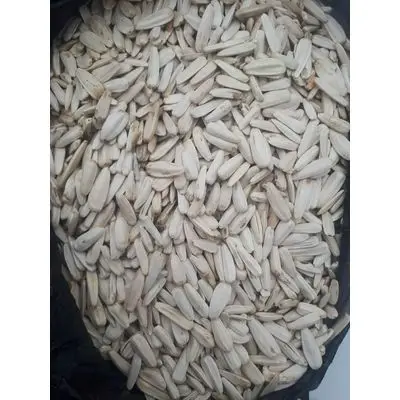 Confectionary Sunflower seeds Jaguar type