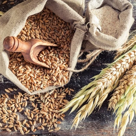 
High Quality / Gluten free / Current Year Crop Organic Flaked Oats 