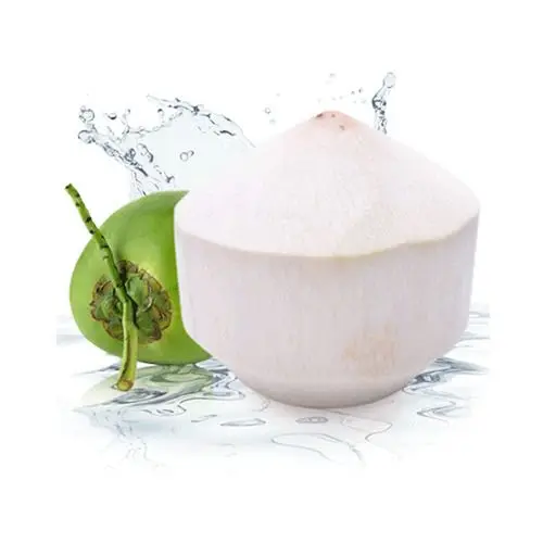
700G 7.3Brix content Fresh Green Young DIAMOND Coconut Fresh Fruit 