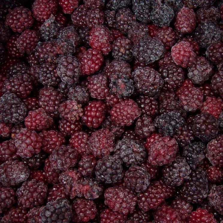 
Typical black frozen berries blackberry fruit 
