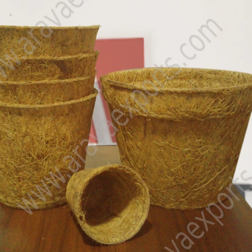 Coir Bio Degradable Pots Top Quality at the Cheapest price