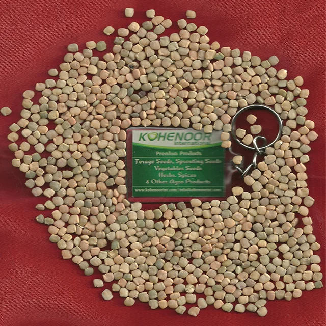 Kohenoor Guar/Cyamopsis Tetragonoloba Seeds