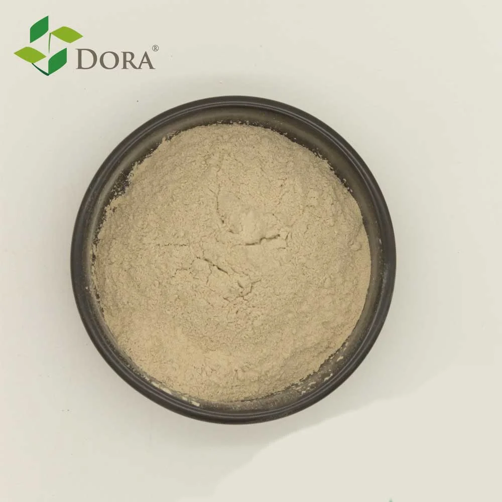 Корневой Мульч подавляет болезни mycorrhiza Bacillus megaterium из Китая