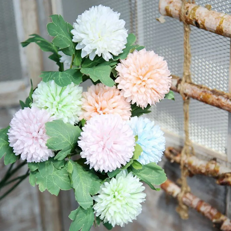 
Fresh cut Chrysanthemums flower 