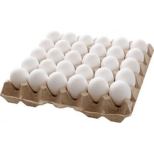 High Quality Wholesale Fertile Hatching Chicken Egg/