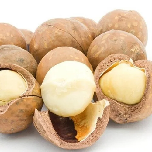 
Rich nutrition Top quality raw supply organic macadamia for sale 