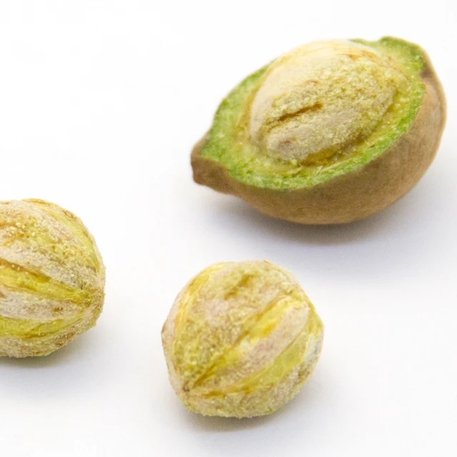 raw material Terminalia bellirica indian fruits Extract polyphenols functional seeds