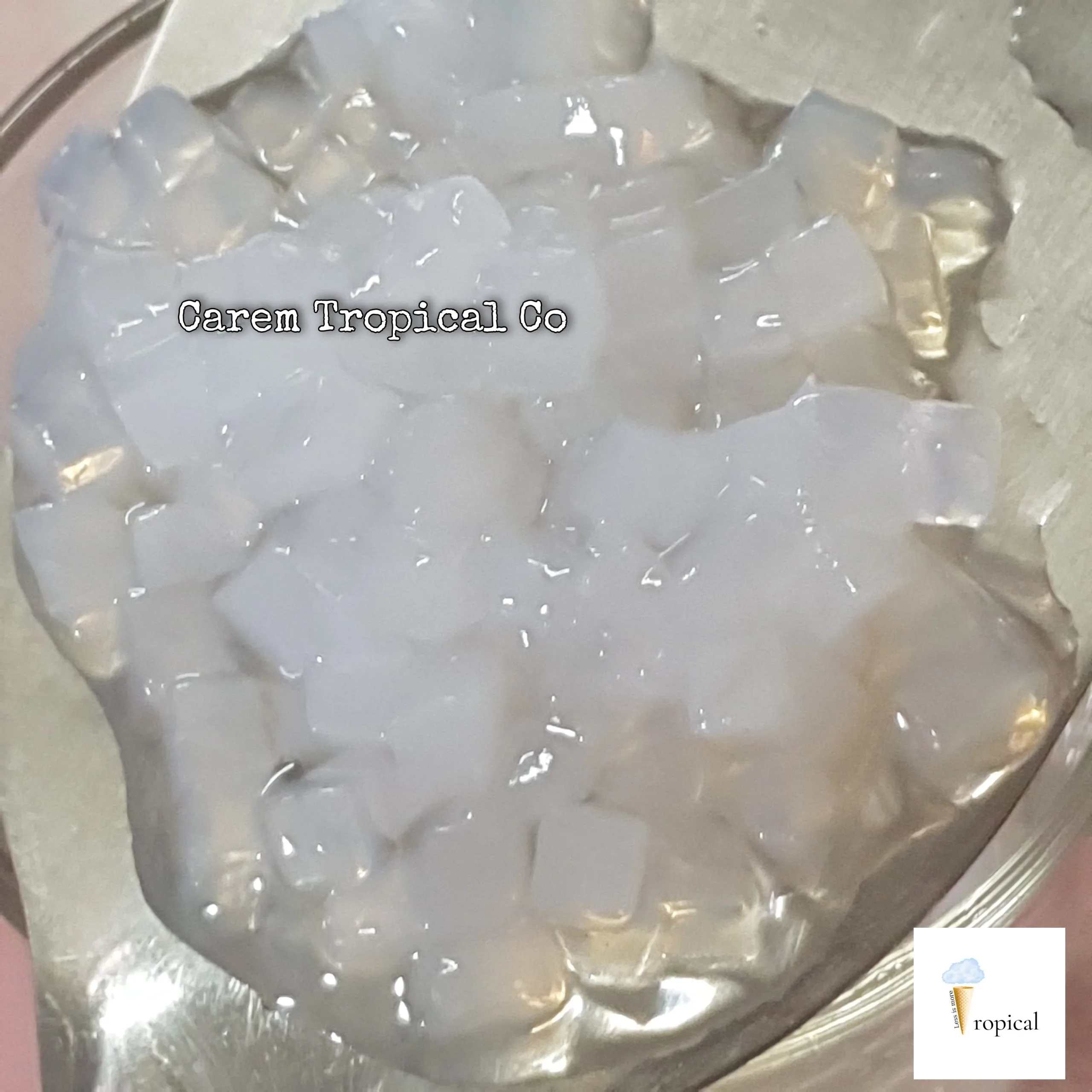 WHOLESALER Nata de coco / Coconut jelly in cup / bulk - TOPPING BEVERAGE