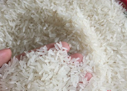 Fragrant DT8 Rice 5% Broken/ Manufacturer/ Long Grain White in Vietnam/Soft Texture And Perfume Sweet Kind