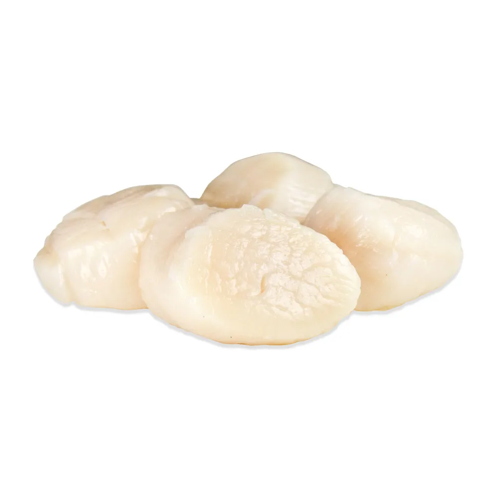 
High Grade New Frozen Air Dried Scallop 