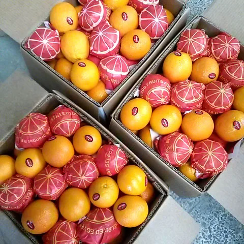 EGYPTIAN ORANGE HIGH QUALITY