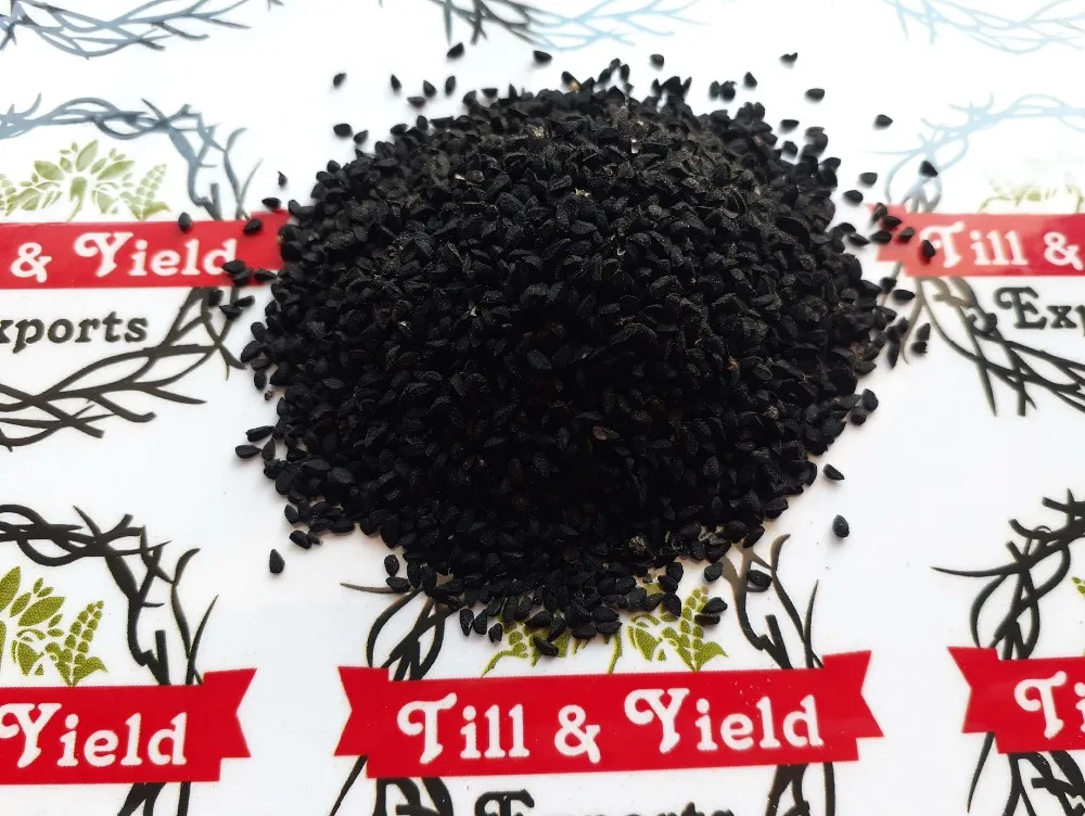 Premium Quality Black Seed/Nigella Sativa/Indian Kalonji 250g