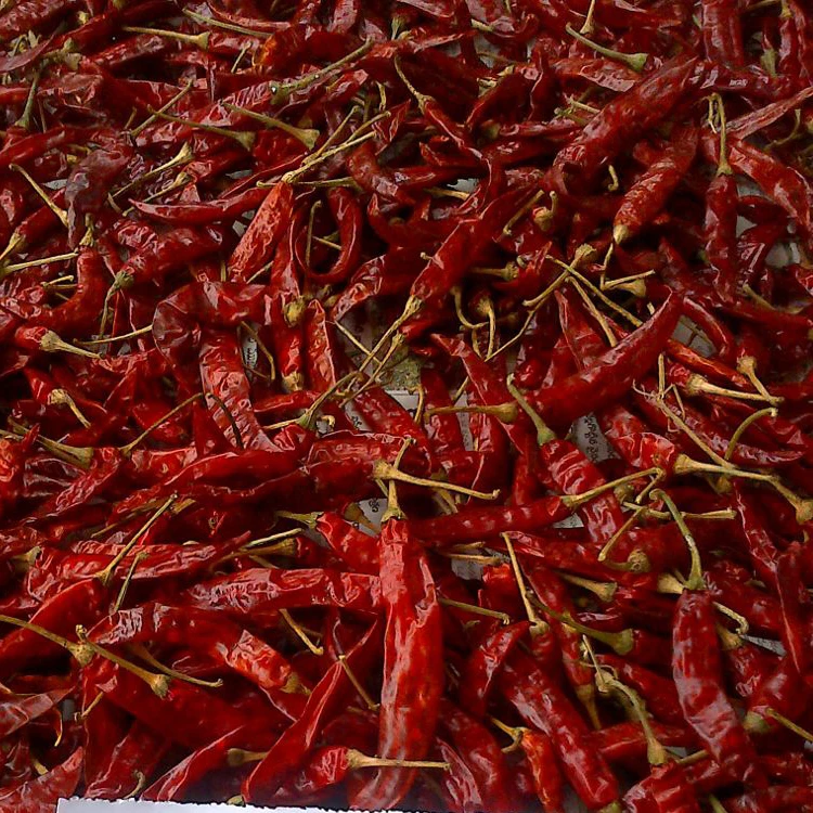 100% Natural First Quality Pepper Dried Red Chili For Cooking