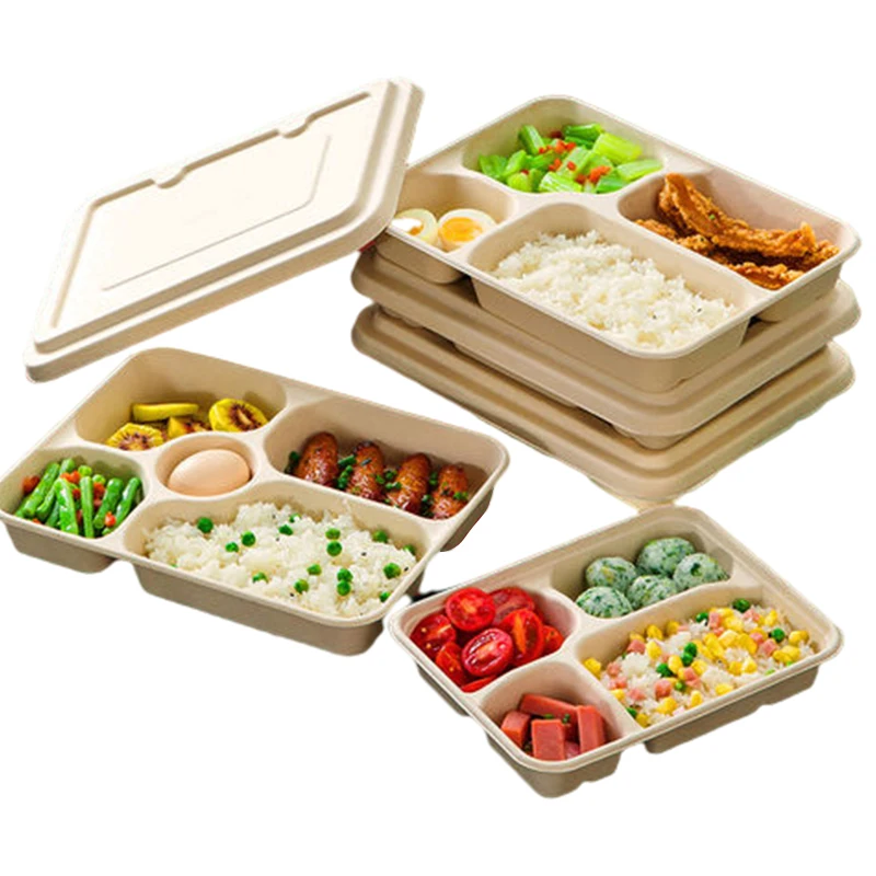 Biodegradable Disposable Sugarcane Bagasse Food Container 4 or 5 Compartment Take Away Lunch Box with Lid