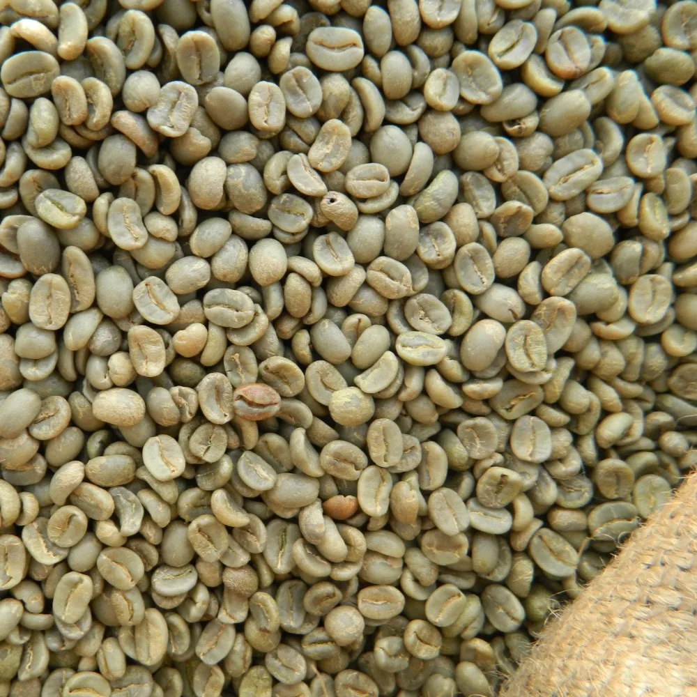 
Вьетнамские экспортные Оптовые натуральные зеленые необработанные кофейные зерна Арабики для импорта по лучшей цене 