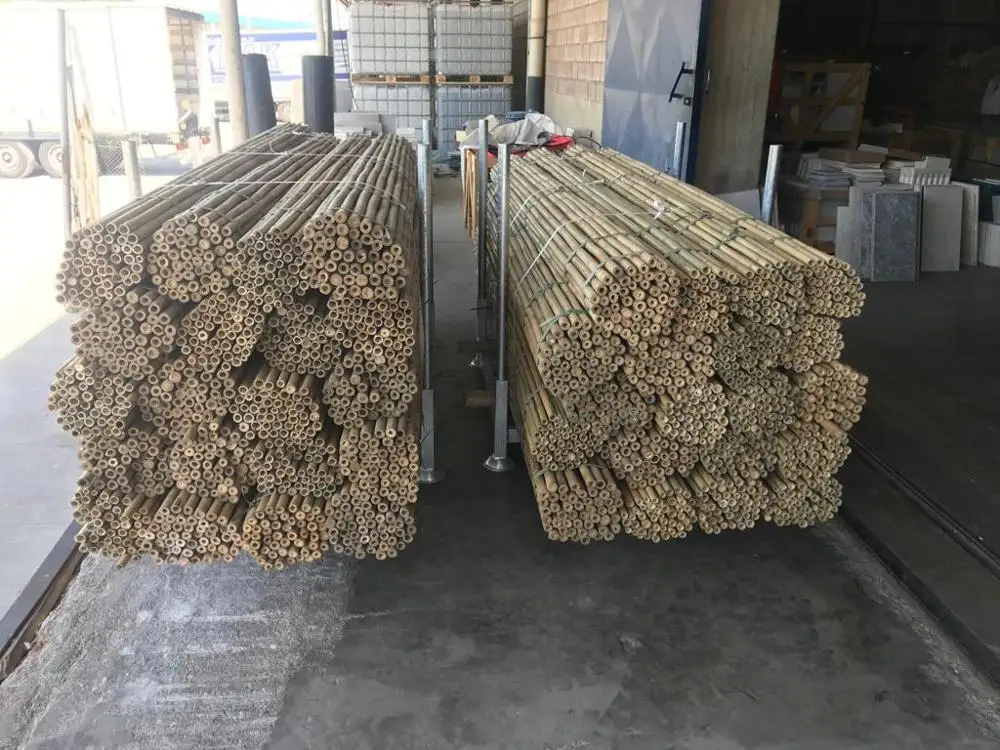 BAMBOO POLES 300 CM (10FT) FOR ORNAMENTAL PLANTS