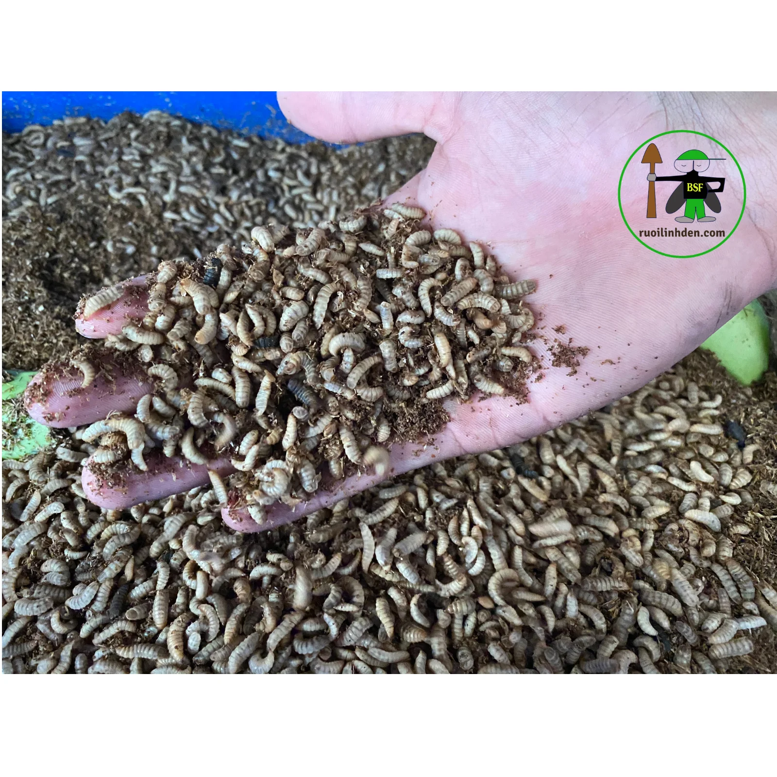 TamEco 1kg bag packaging Viet Nam All Season The Pet Food 100% Natural BBQ Flavour  Black soldier fly