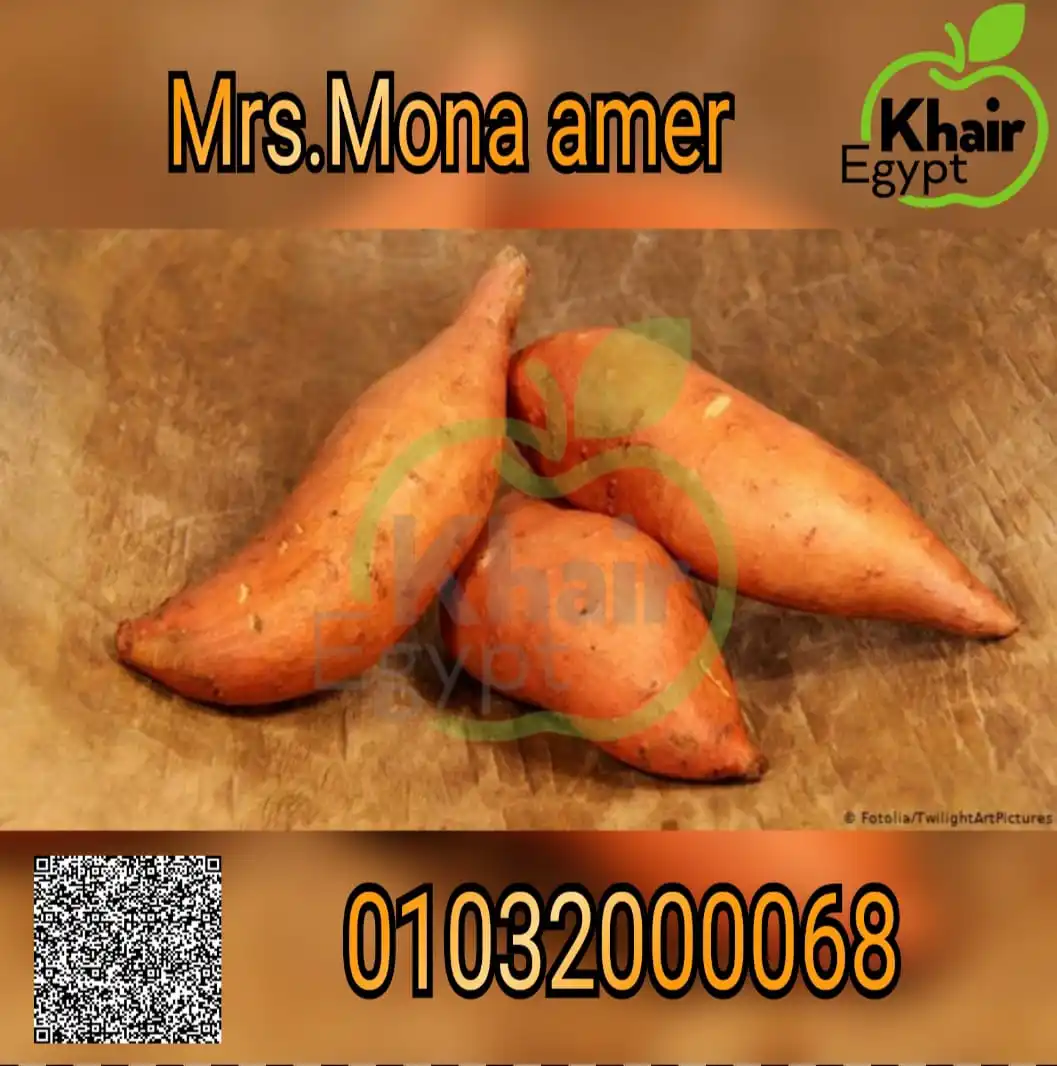 100%  High Quality Exclusive Fresh SWEET POTATOES available for export at a Cheaper Price
