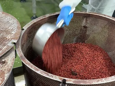 Фасоль Adzuki эссенция Red