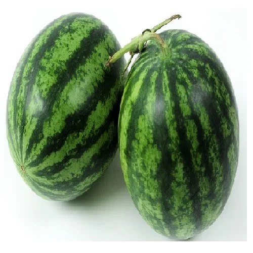 Свежий Фруктовый арбуз // напиток для фруктов // EDNA + 84 919 04 5050