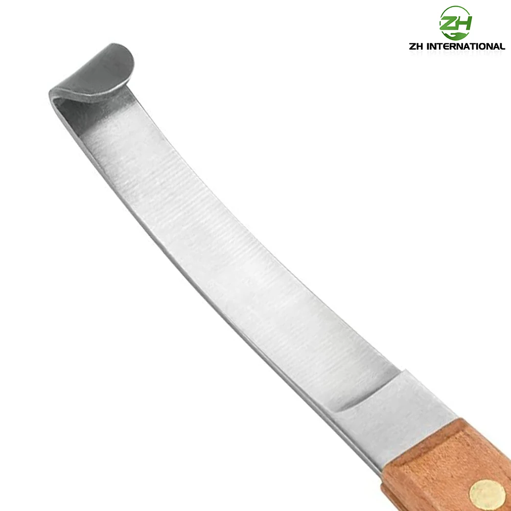 Top Quality Veterinary Equipment Hoof Knife For Horse Care