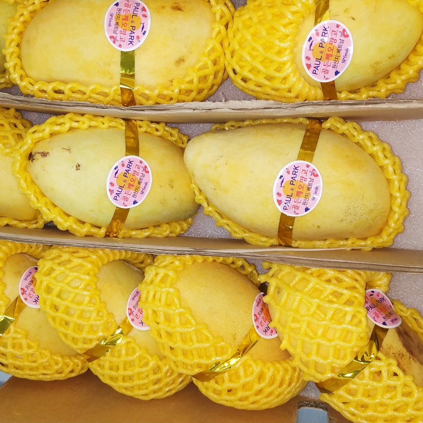 
Green Keo Mango Fresh and Sweet Tropical Fruit in Vietnam distributors WIT VN 