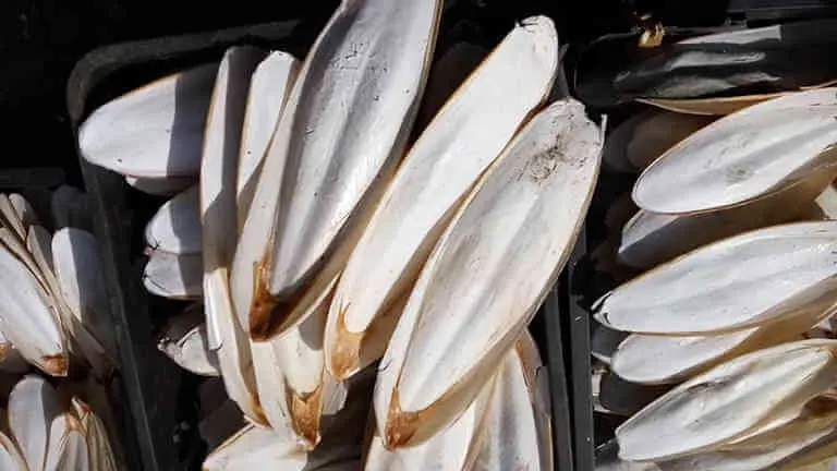 Сушеные косточки используемые в качестве корма для птиц/высококачественные из Вьетнама