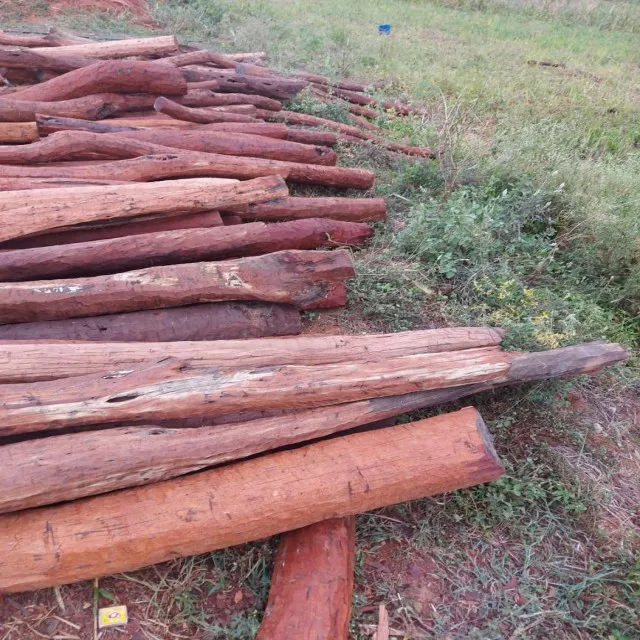 
Red Sandal Wood Logs 