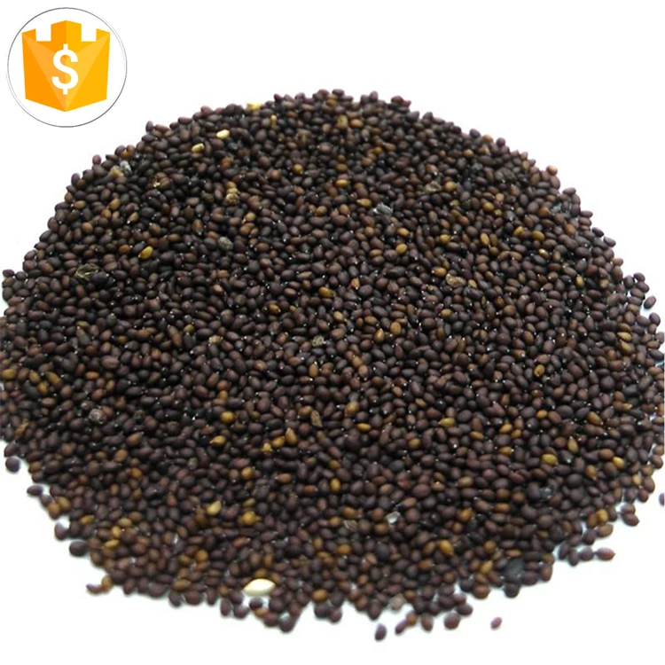custom albahaca basilicum black dried flavor basil seeds herbs