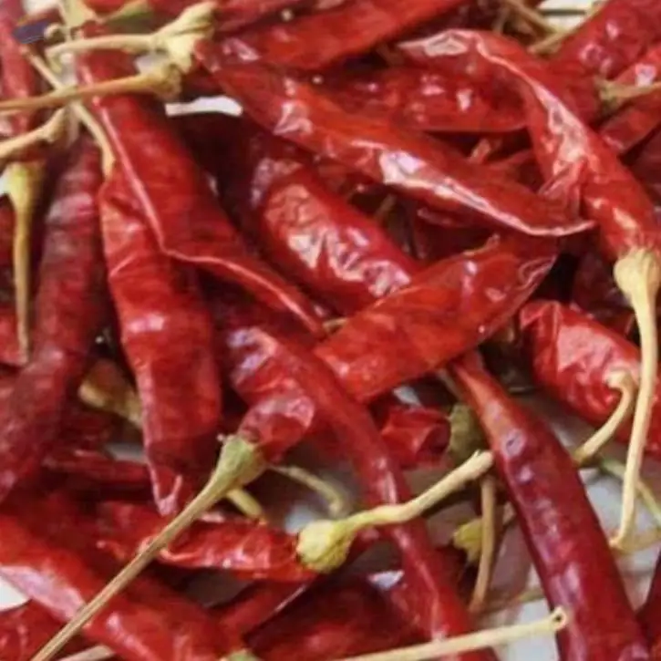 Pepper Red Chili  Dried Chili