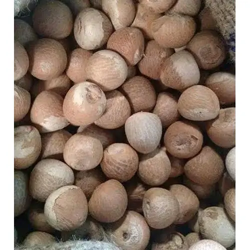 DRIED BETEL NUT with high quality and competitive price from Vietnam