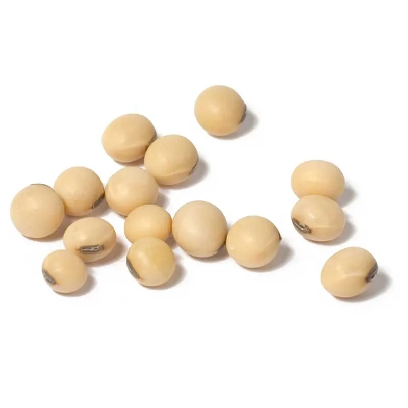 Non GMO Soybeans and Soybeans / Soya Beans Seed