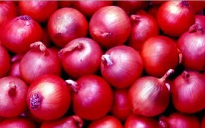 
Fresh Onion Red onion / Gold onion , High quality best price 