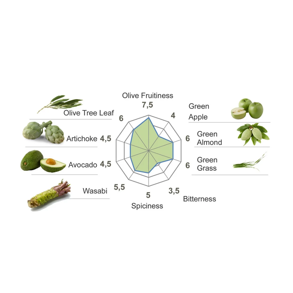 Spanish Extra Virgin Olive Oil-Premium- Reserva de Familia- 500ml. Our extra virgin can be presented in an elegant case.