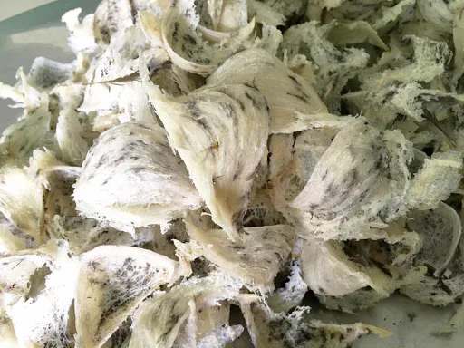 Птичье гнездо высокое качество производитель продукции из Вьетнама
