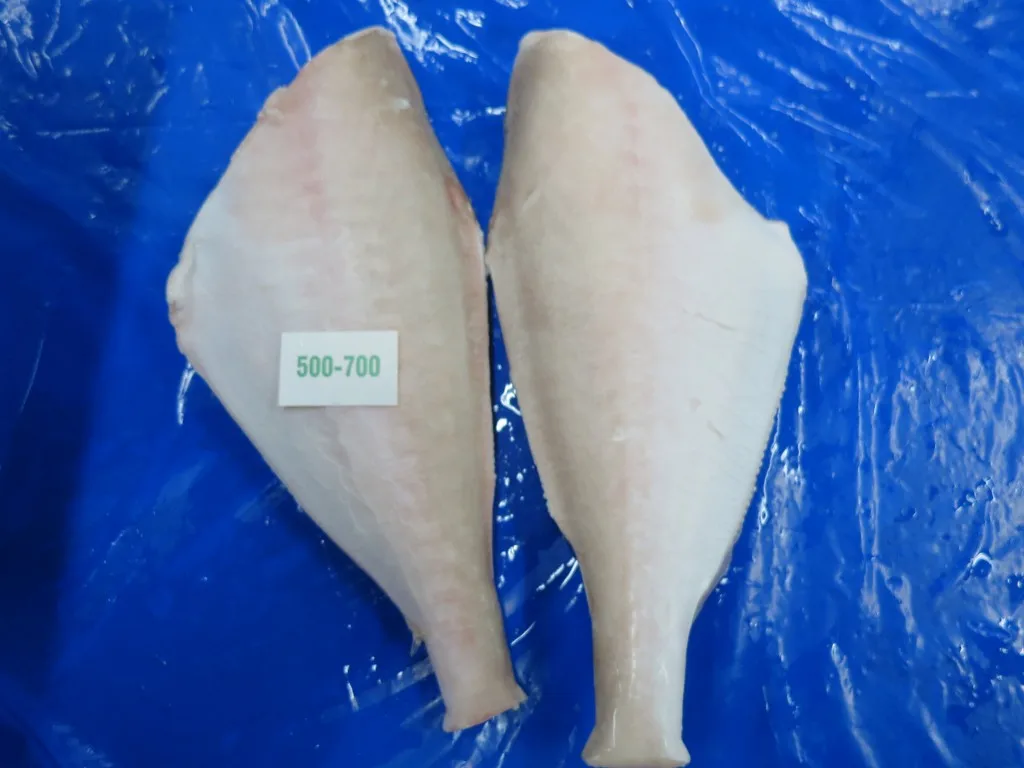  Кожаная куртка FISH HGT