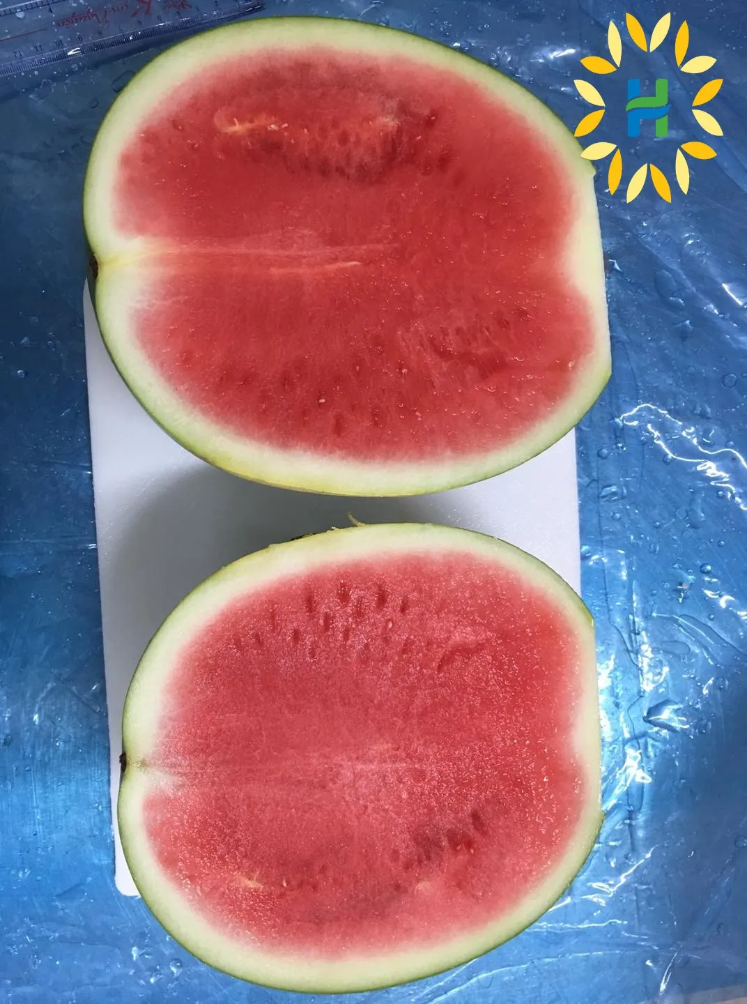 IQF WATER MELON