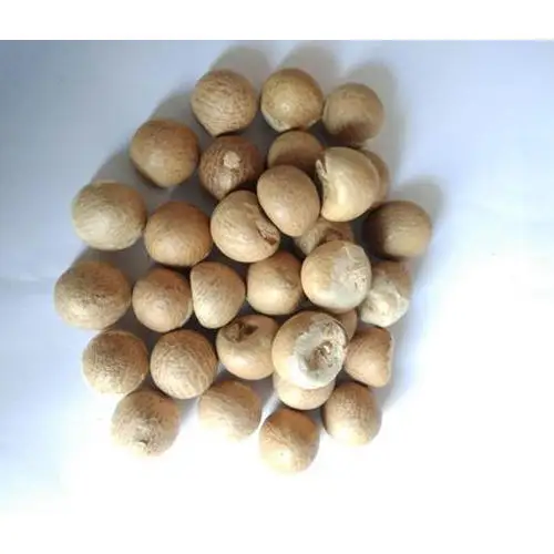 BETEL NUTS - Whole/ Split Betel Nuts Cheapest Price Top Quality Manufacturer From Vietnam In Bulk Supply| TERESA +84971482716
