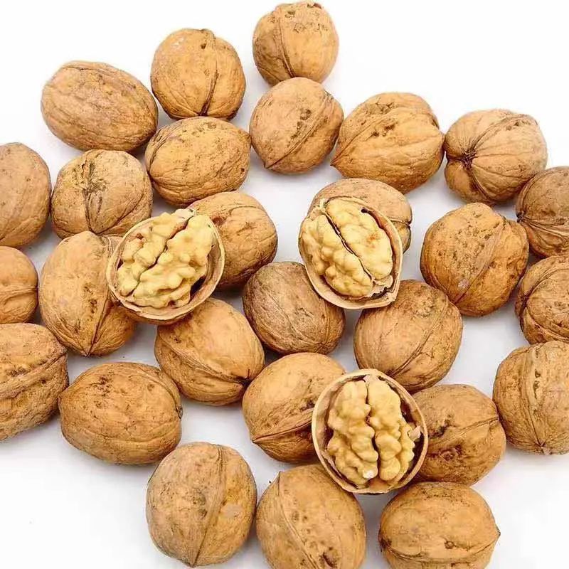 Walnut Bulk Style Packaging Food Origin Type Dried Grade Product Snack Place Original Raw Walnuts Healthy and Delicious Black