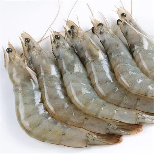 wholesale white shrimp/fresh water prawn/frozen vannamei shrimp feed