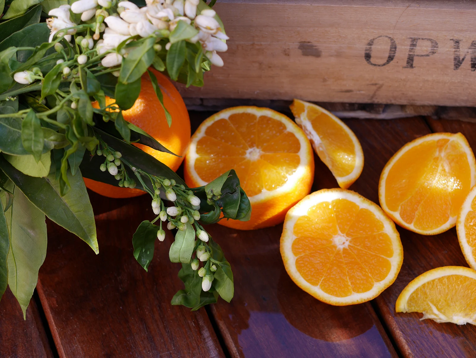 Premium Valencia Late Oranges with leaves. Global Gap Certification Sustainable Agriculture Certfication